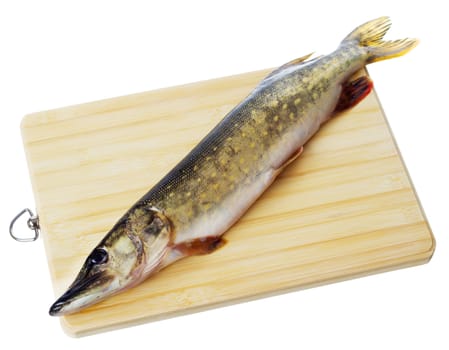 Raw pike with cooking ingredients isolated on white background