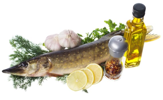 Raw pike with cooking ingredients isolated on white background