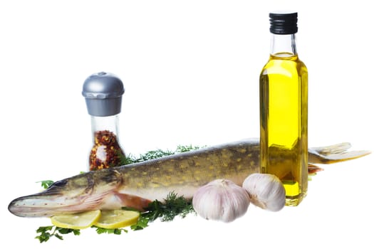 Raw pike with cooking ingredients isolated on white background