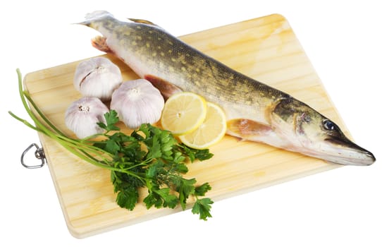 Raw pike with cooking ingredients isolated on white background