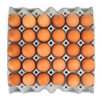 Eggs in Carton