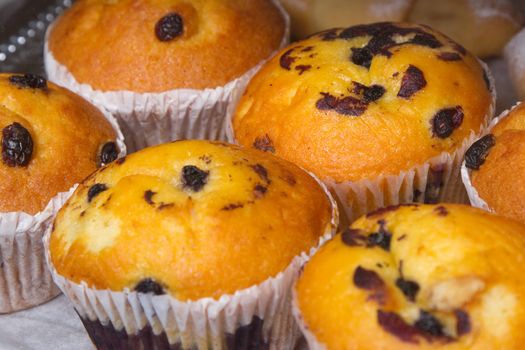 Muffins wih raisins closeup photo