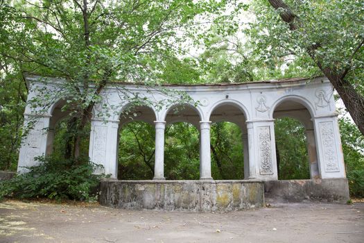 Old arc in green foliage photo