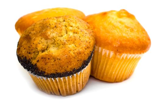 Three tasty muffins with poppies isolated on white background