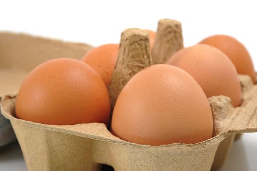 Eggs in Carton