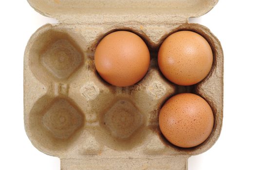 Eggs in Carton