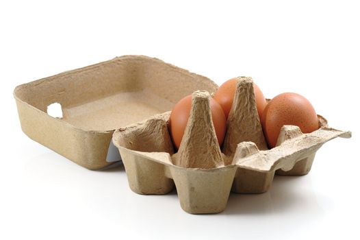 Eggs in Carton