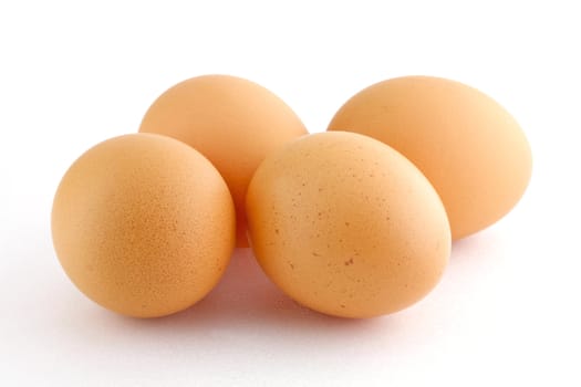 eggs