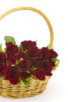 red roses in a basket