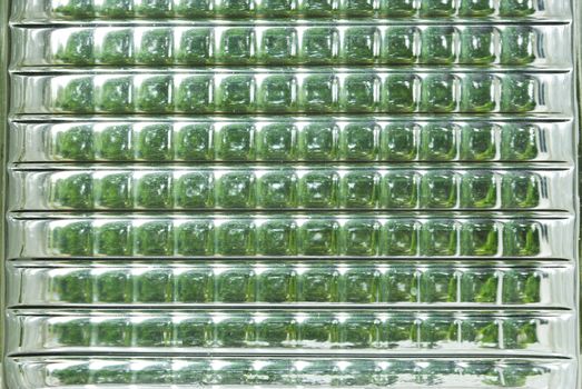 Sunlight through the glass.