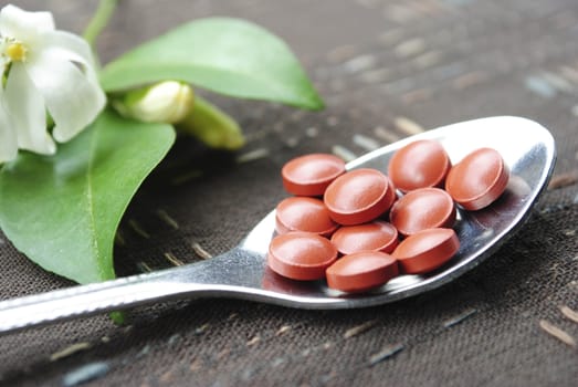 Silver Spoon with Pills