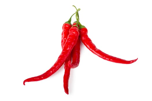 Red chili peppers isolated on white background