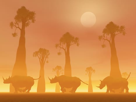 Three rhinoceros running between baobab trees in the savannah by foggy sunset light