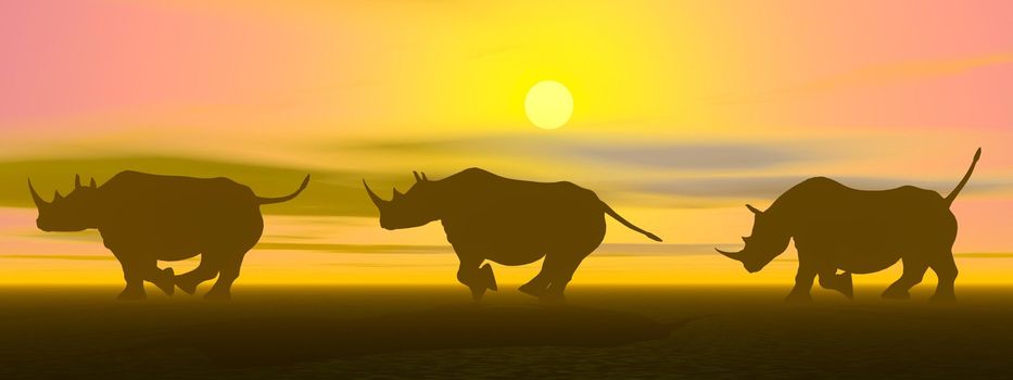 Three rhinoceros running in the savannah by sunset light