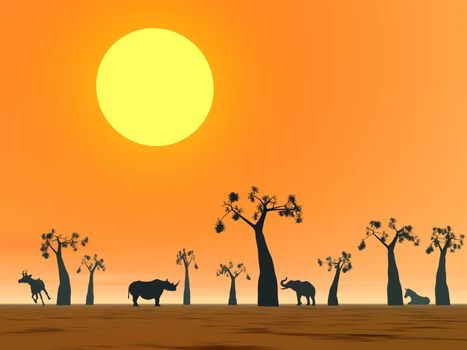 Shadows of animals in the savannah next to baobabs by sunset