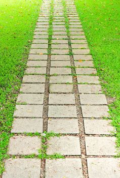 Stone walkway in the garden