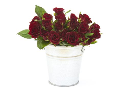 red roses in a bucket