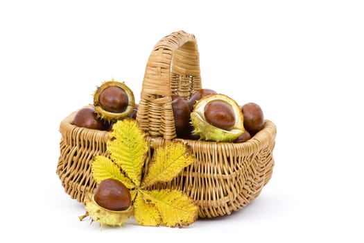 basket full of chestnuts and autumnal leaves