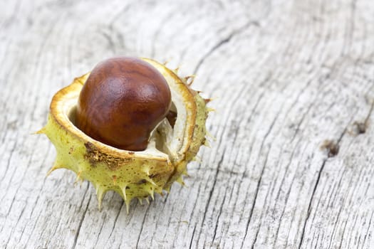 chestnut on old wooden background