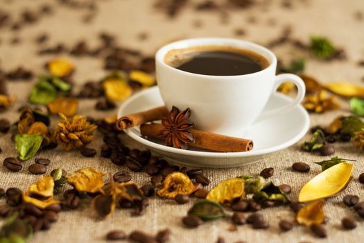 Cup of coffee close-up studio photo