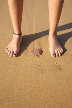 woman foot ready to push a medusa in a beach