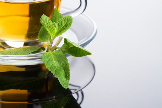 Tea cup with fresh mint leaves, closeup photo