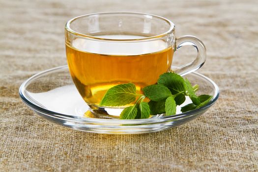 Tea cup with fresh mint leaves, closeup photo