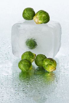 Brussels sprout on wet surface, studio still life