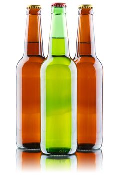 Beer bottles isolated on white background, studio still-life