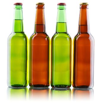 Beer bottles isolated on white background, studio still-life