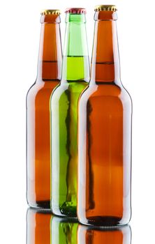 Beer bottles isolated on white background, studio still-life