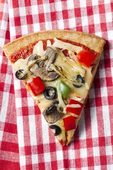 Slice of baked pizza slice on checkered tablecloth