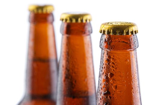 Beer bottles isolated on white background, studio still-life