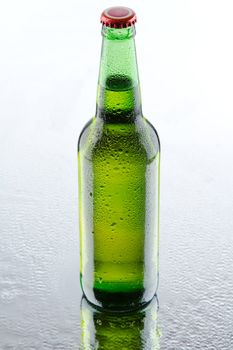 Beer bottles isolated on white background, studio still-life