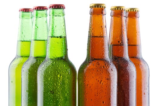 Beer bottles isolated on white background, studio still-life