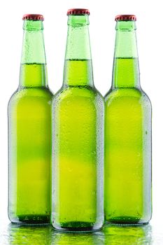 Beer bottles isolated on white background, studio still-life