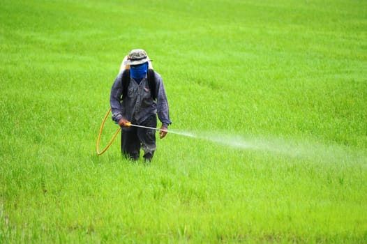 Farmer spraying pesticide