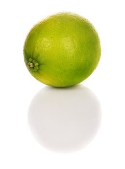 Lime on white background