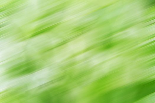 Abstract green background with soft dark and light variations