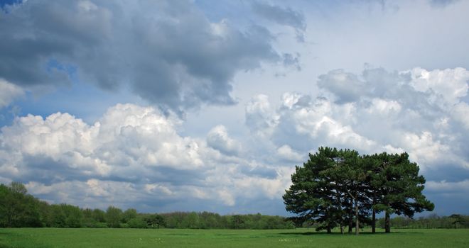 Cloudy sky over a tree