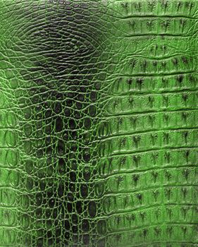 Reptile skin texture