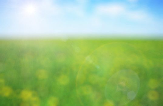 Green meadow with yellow flowers on a sunny day - defocused background
