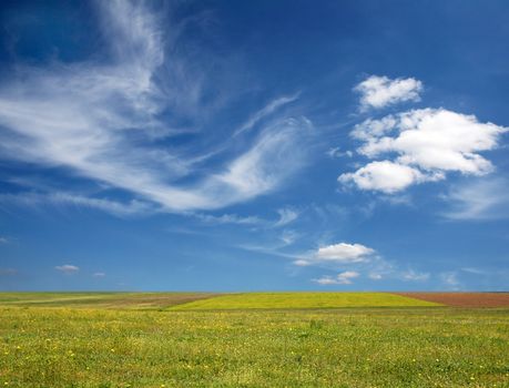 Blue sky over a green field on a summer day