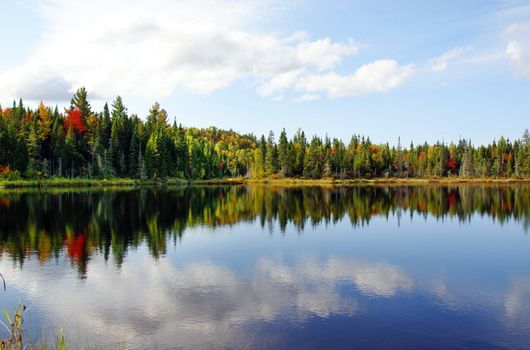 Beautiful sunny day during fall in Northern Canada forest with some red amd orange maple trees reflected by a calm water lake.