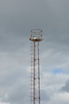 Metal Tower