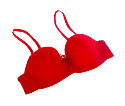 Bra. bra on the white background