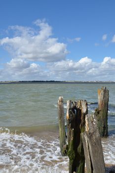 Groyne by coast