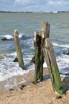 Wooden posts in portait