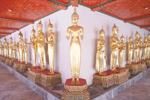 Row of gold standing Buddha in temple, Thailand.