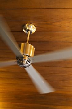 Contemporary brass Ceiling Fan with rotor blades providing motion blur with wood paneling backdrop. Generic shot, location was Goa, India